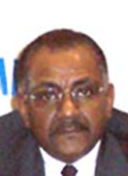 Adil Abdel Hadi